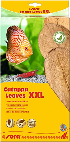 sera Catappa Leaves XXL 30-35 cm (10St) - Seemandelbaumblätter für die natürliche Wasseraufbereitung