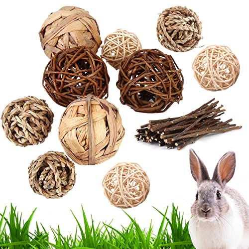 Vegena 10 Stück Kaubälle Meerschweinchen - Kleintiere Kauspielzeug Natürliche Bälle mit...
