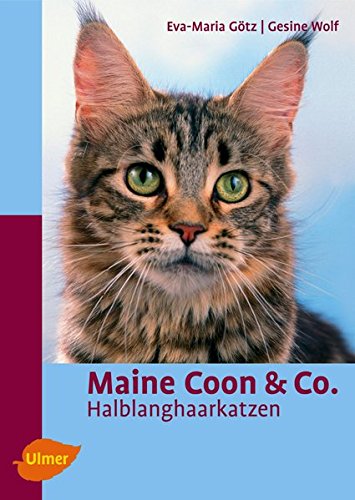 Maine Coon & Co.: Halblanghaarkatzen (Heimtiere)