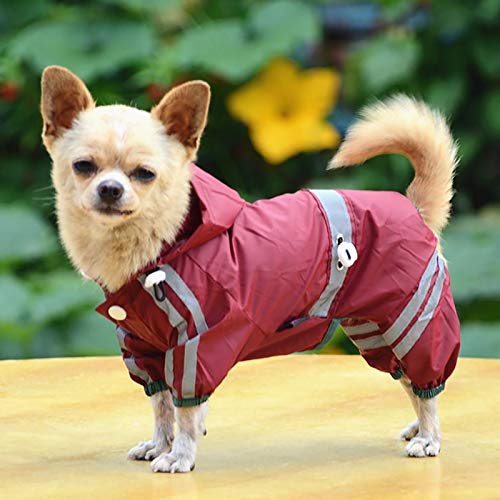 Die 4 besten Schwimmwesten für Hunde