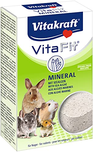 Vitakraft Nager Vita Fit Mineralstein, 1x 1 St, 170 g (1er Pack)
