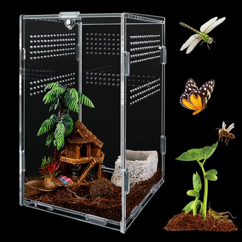 MINISOISO Reptilien Terrarium Box, 12x12x20cm 360° Mini Transparente Acryl Terrarium, Reptil...