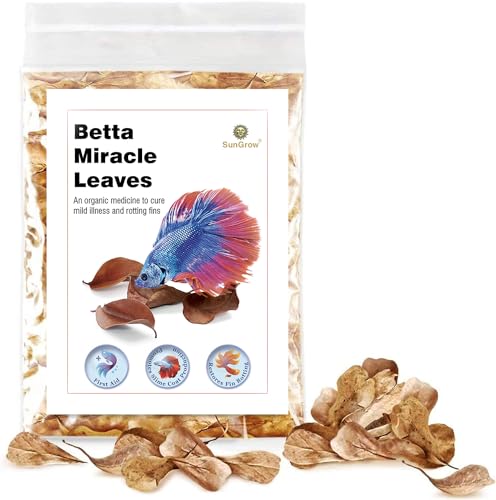 SunGrow 50 St Indischen Seemandelbaumblätter Aquarium (Nano Catappa), Wasseraufbereiter Blätter...