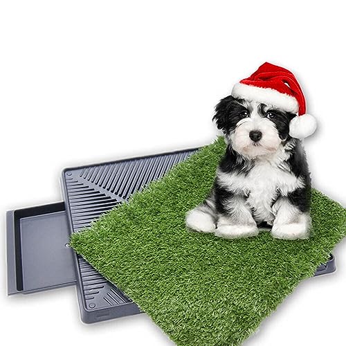 YORKING Hundetoilette, Welpentoilette Wiederverwendbar Training Pee Pads Kleine Hunde Rasenmatte...