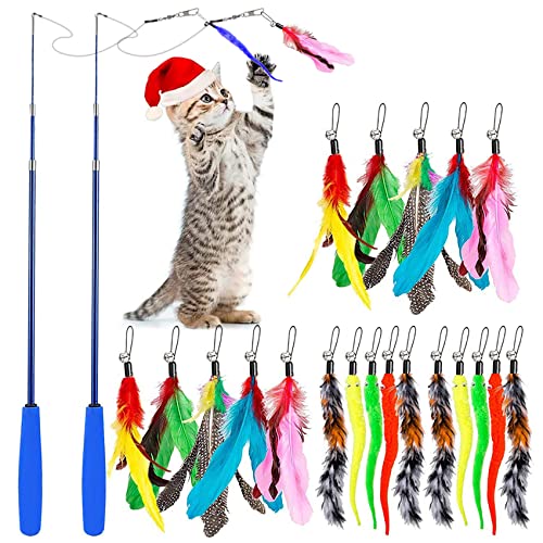 Federspielzeug Katzenspielzeug,Interaktive Katzen Spielzeug feder 20 Stück Feder Teaser Spielzeug mit 2...