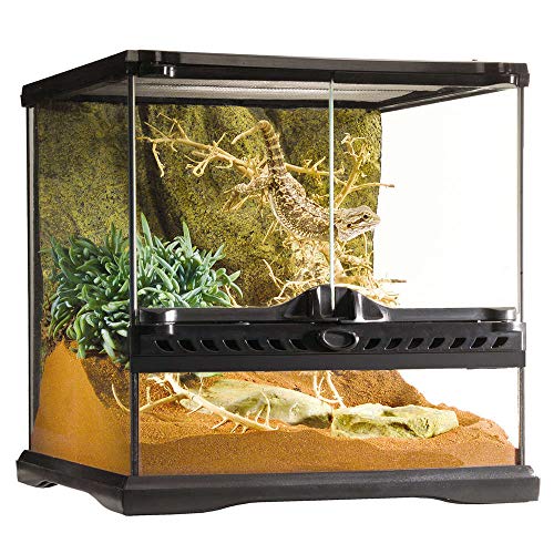 Exo Terra Terrarium aus Glas, mit einzigartiger Front Belüftung, 30 x 30 x 30cm