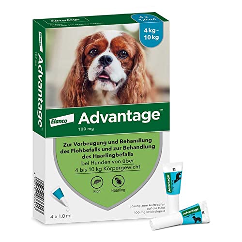 ADVANTAGE 100 Lösung f.Hunde 4-10 kg 4 St