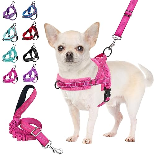 SlowTon Hundegeschirr kleine Hunde mit Leine - No Pull Weiches Gepolstertes Geschirr, Reflektierend &...