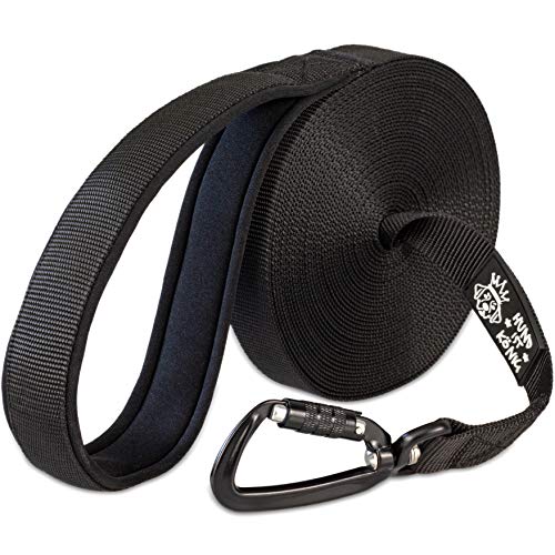 Schleppleinen für Hunde im Vergleich » Tierischehelden
