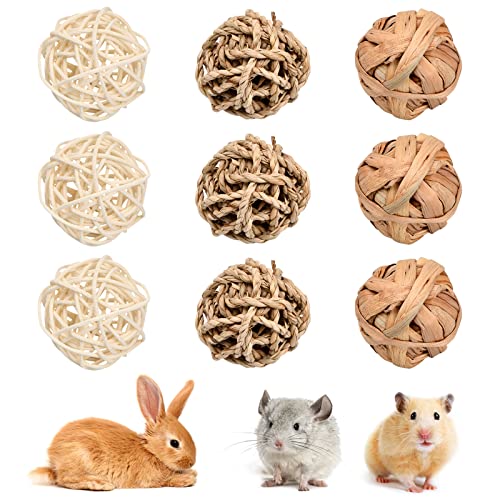 Pinsheng 9 Stück Kaubälle, Kleintiere Kauspielzeug, Grasspielzeug für Kaninchen Meerschweinchen...