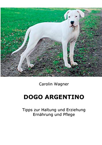 Dogo Argentino: Tipps zur Haltung und Erziehung, Ernährung und Pflege