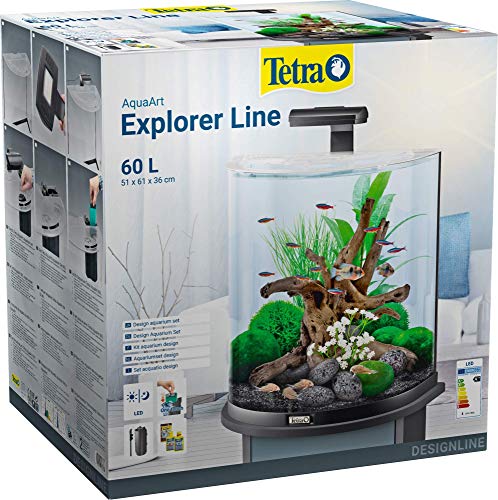 Tetra Explorer Line 60 L Aquarium Komplett-Set - Design Aquarium mit gebogener Frontscheibe,...