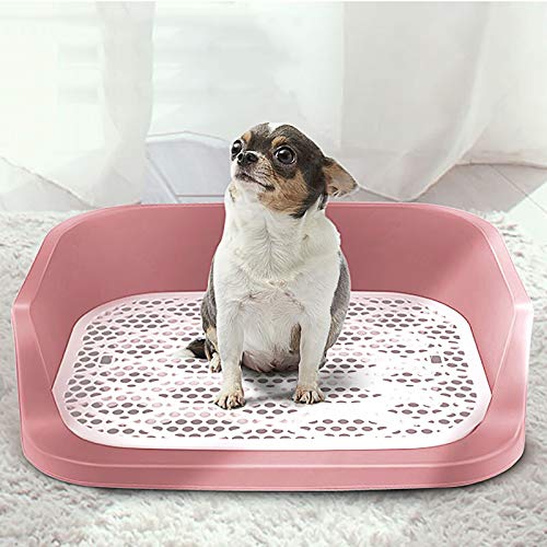 Die 4 besten Hundetoiletten für die Wohnung » Tierischehelden