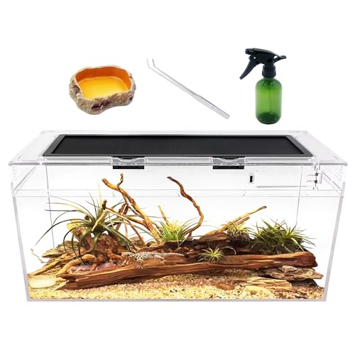 Reptile Growth Reptilien-PC-Terrarien-Set, Reptilienbecken 50 x 25x 20 cm, für Insekt, Fisch, Tarantel,...