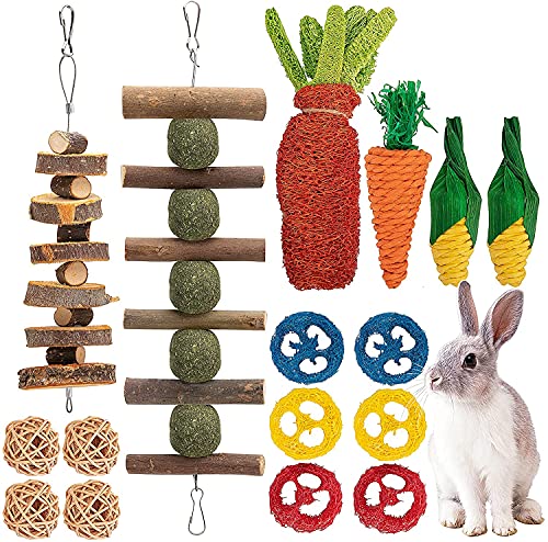 GIONAR 16 Stück Kaninchen Spielzeug Zubehoer Kleintier Spielzeug zum und um Langeweile zu Vertreiben...