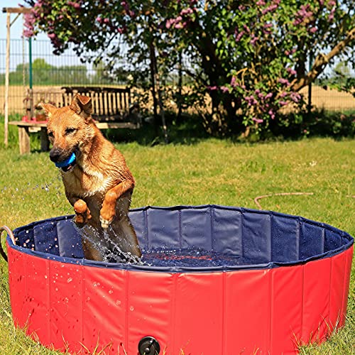 lionto Hundepool faltbar aus kratzfestem PVC-Material, Ø 80 cm, Höhe 20 cm, Anti-Rutsch-Belag &...