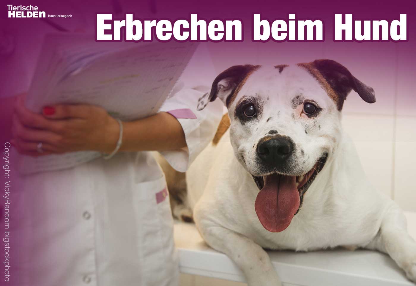 Hund erbricht gelben Schleim