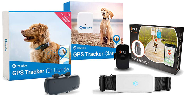 GPS-Tracker Hund