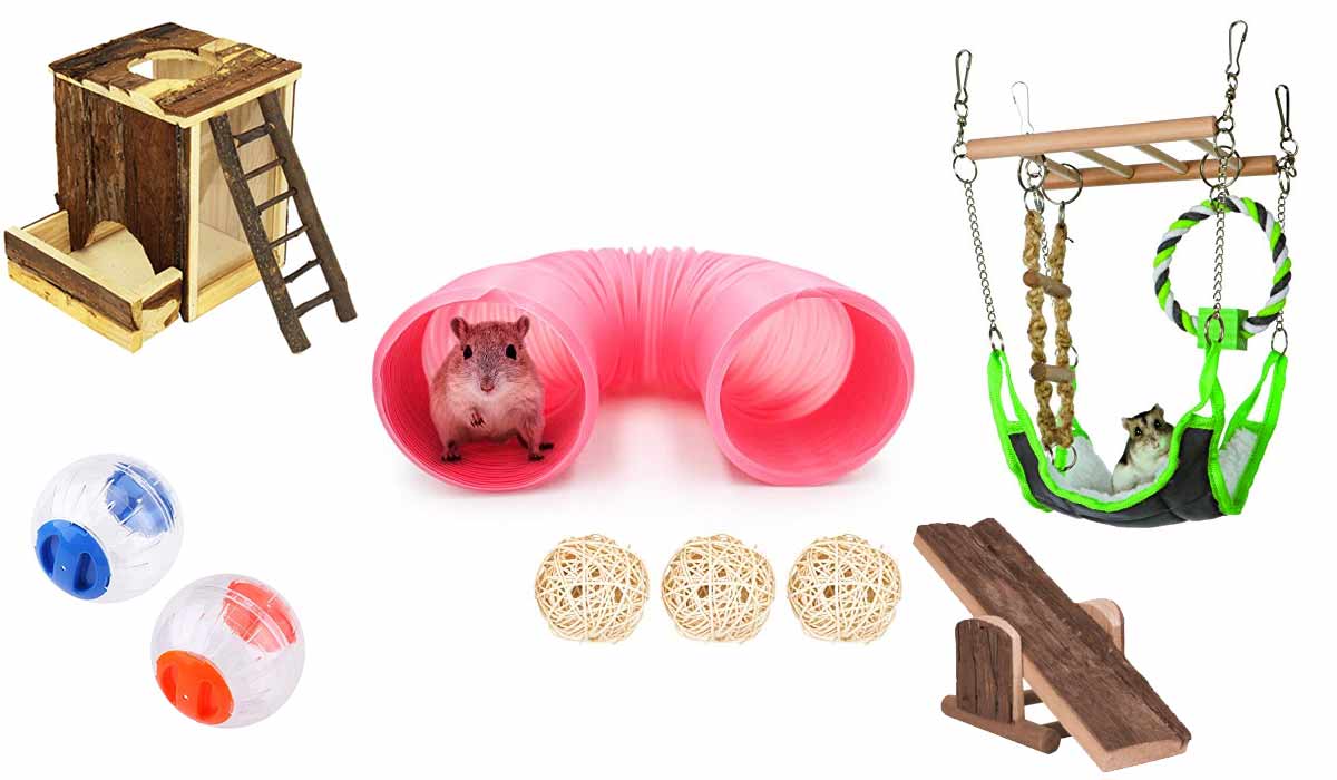 Die 9 besten Hamster Spielzeuge