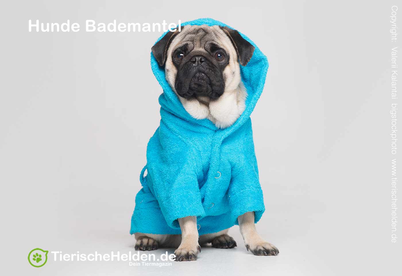 Hundebademantel