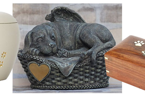 Urne für Hunde