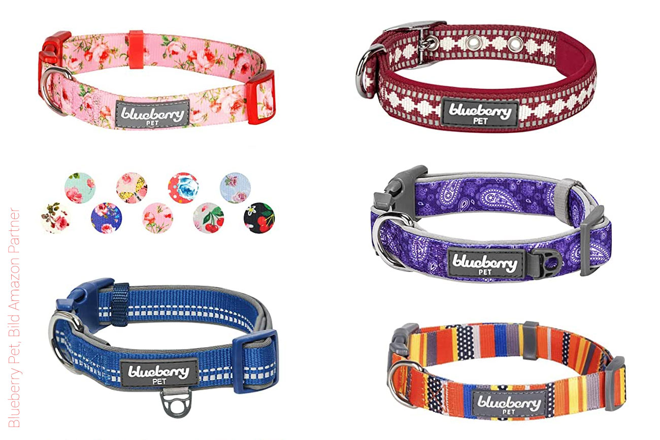 Joytale Welpenhalsband,Hundehalsband für Kleine Hund,Reflektierend Halsband Hund Rot Gepolstert Hundehalsband Breit