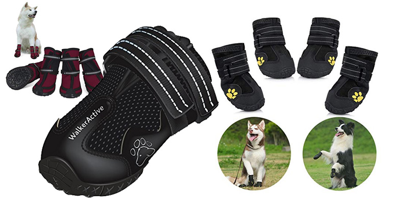Die 7 besten Hundeschuhe