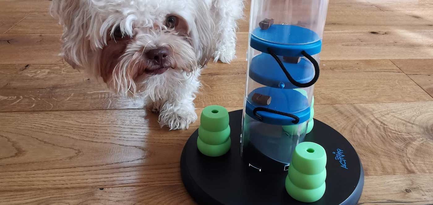 Spielzeuge zum Aufziehen Aufziehbare Tierfigur Aufziehspielzeug Mitgebsel Hund 