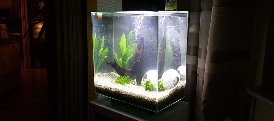 Nano Aquarien Zubehör