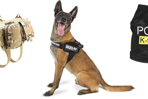 Polizeiweste Hund