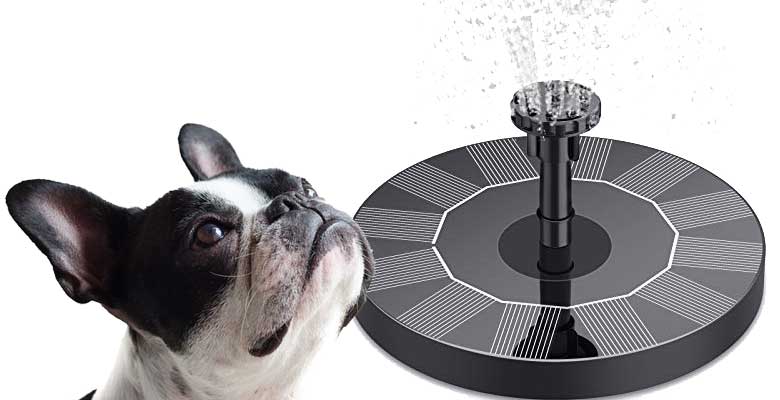 Diese 5 beliebten Springbrunnen für Hunde verfügen über Solar