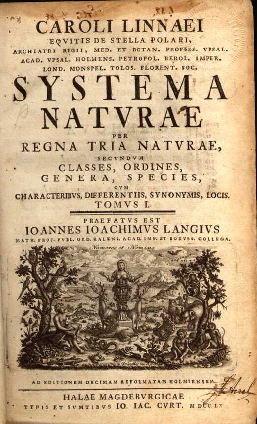 Taxonomie des Hundes - Carl von Linne 4 Carl von Linné
