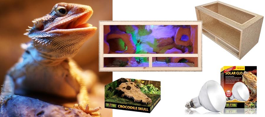 Kuscheltier Plüschtier Reptilien Schlange aus dem Ei Bartagame Spinne Gecko 