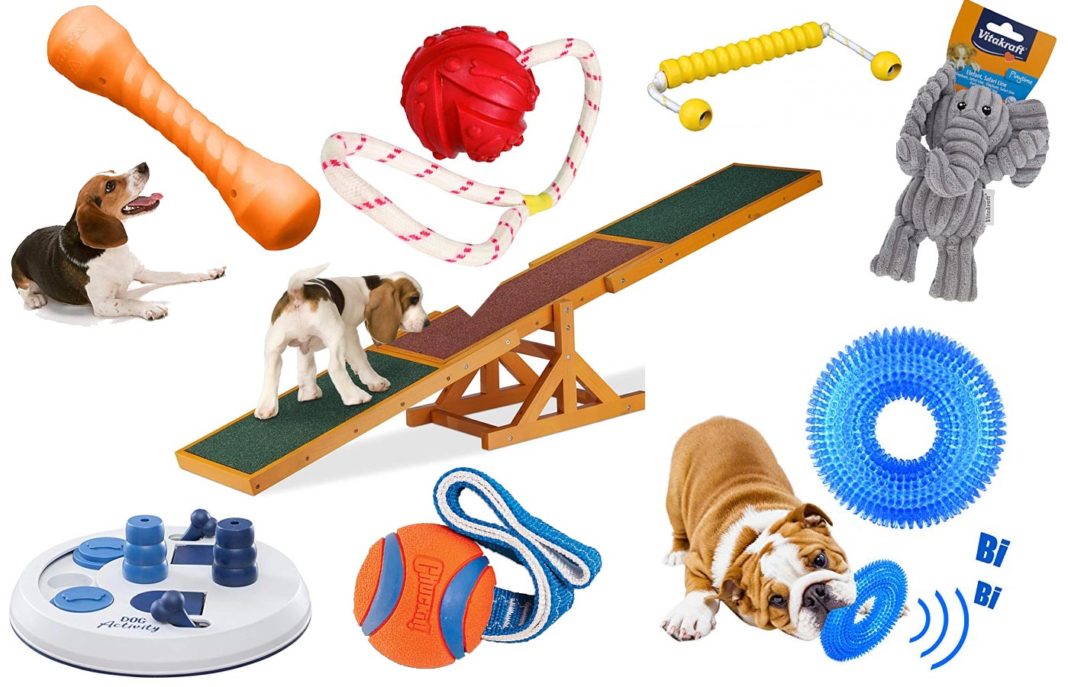 Die 30+ besten Spielzeuge für Hunde » Tierischehelden.de