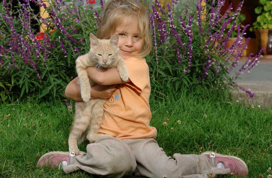 Katzen-Haltung mit Kindern