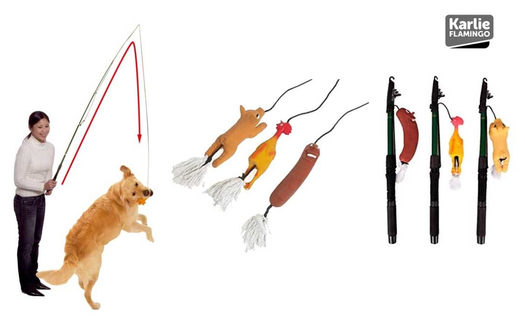 Die 5 beliebtesten Hunde Trainingsangeln » Tierischehelden