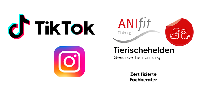 Kooperationen & Jobangebote 2