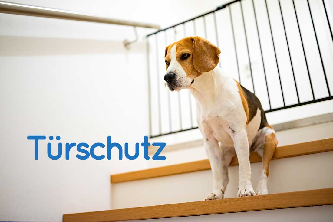 Die 5 besten Hunde Türschutzgitter